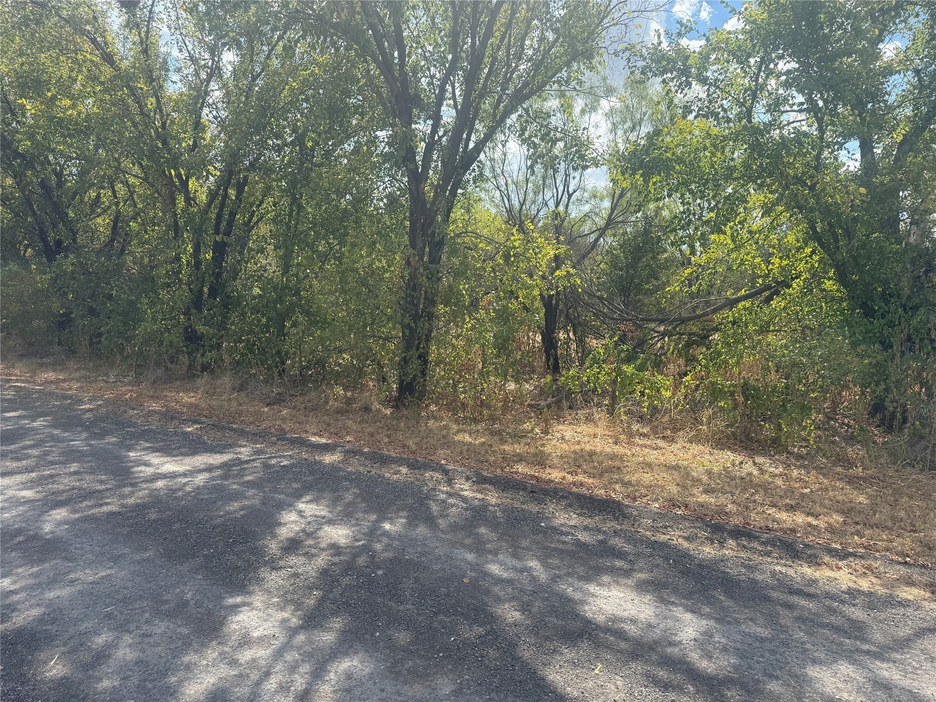 2.75 acres in Comanche County - photo 6