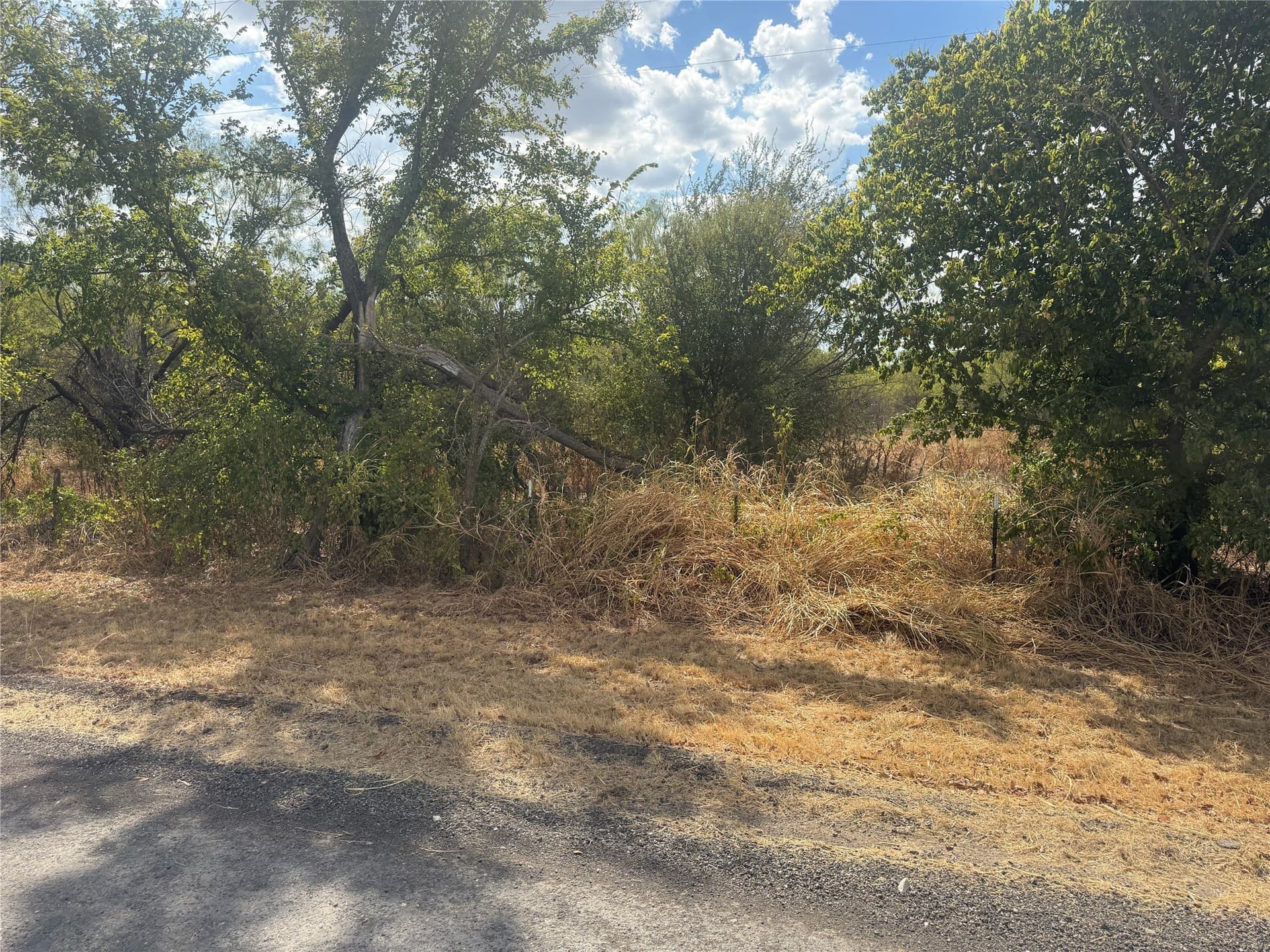 2.75 acres in Comanche County - photo 7
