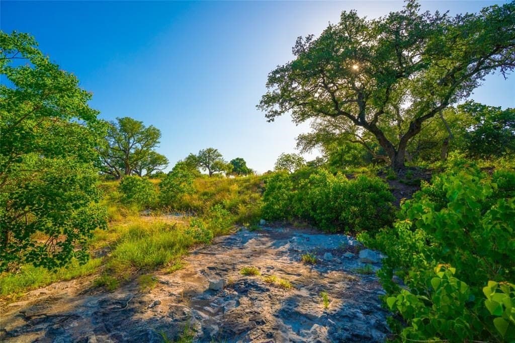 24 acres in Blanco County featured view
