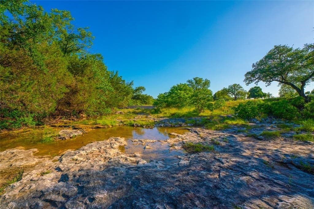 24 acres in Blanco County gallery image 4