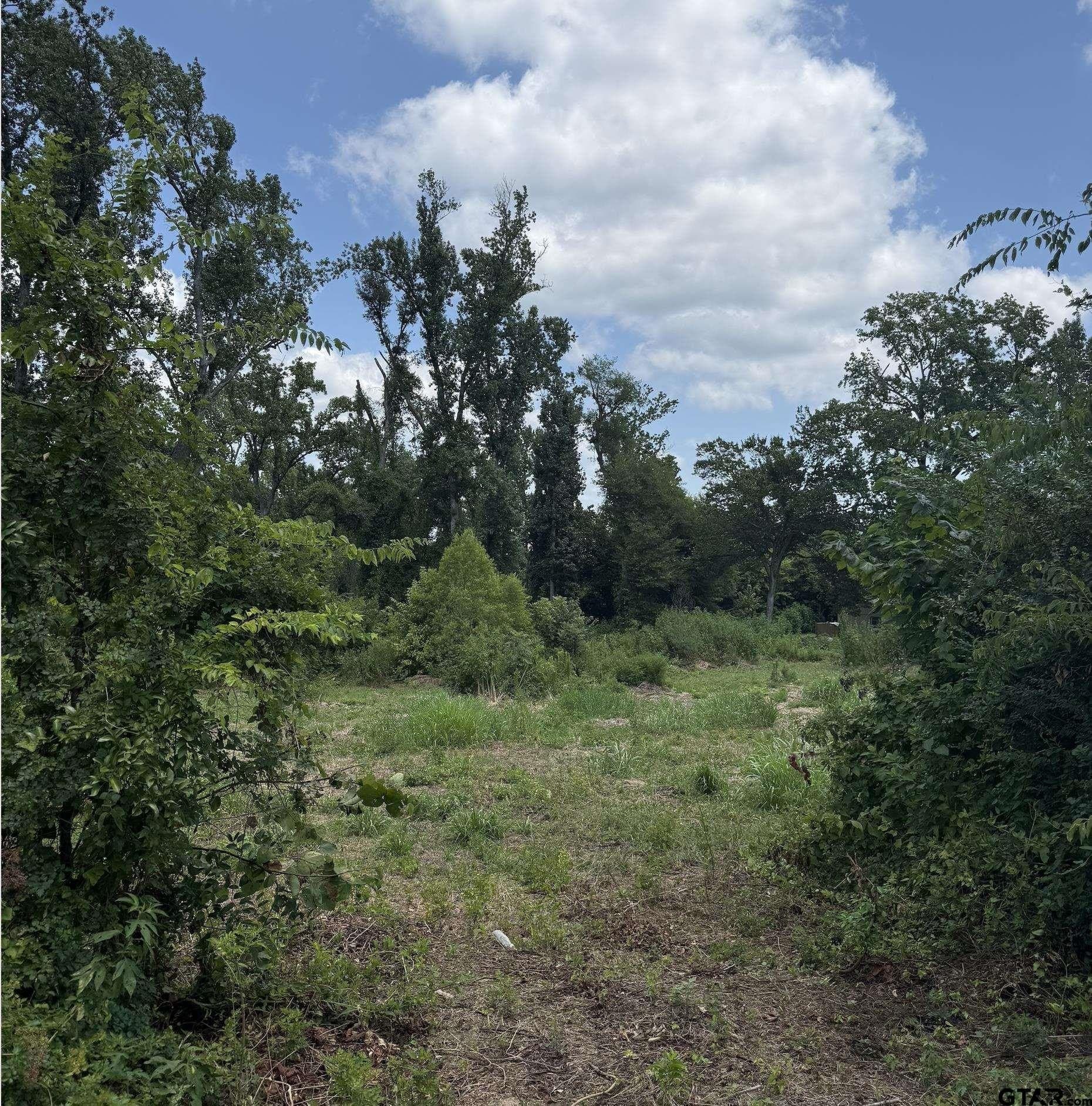 5 acres in Franklin County - photo 6