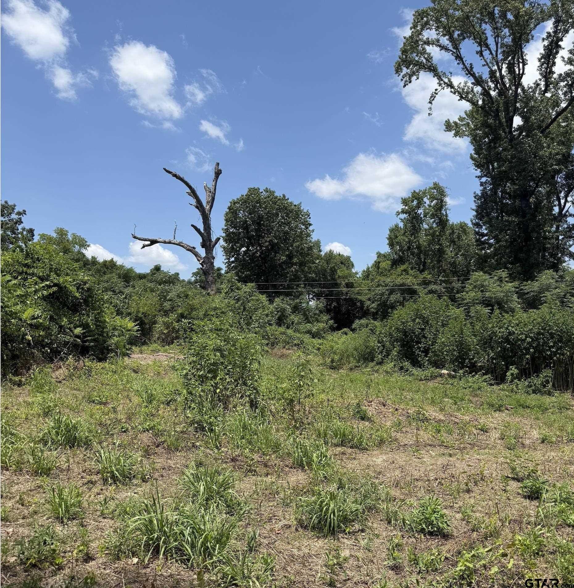 5 acres in Franklin County - photo 4