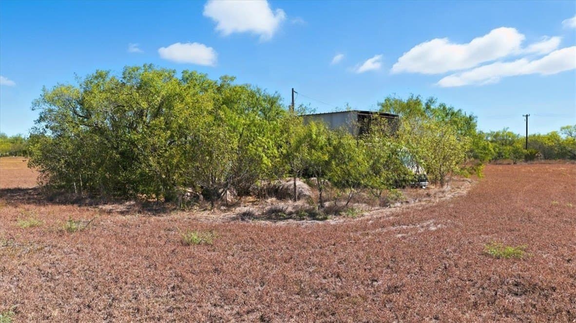8.74 acres in Nueces County gallery image 2