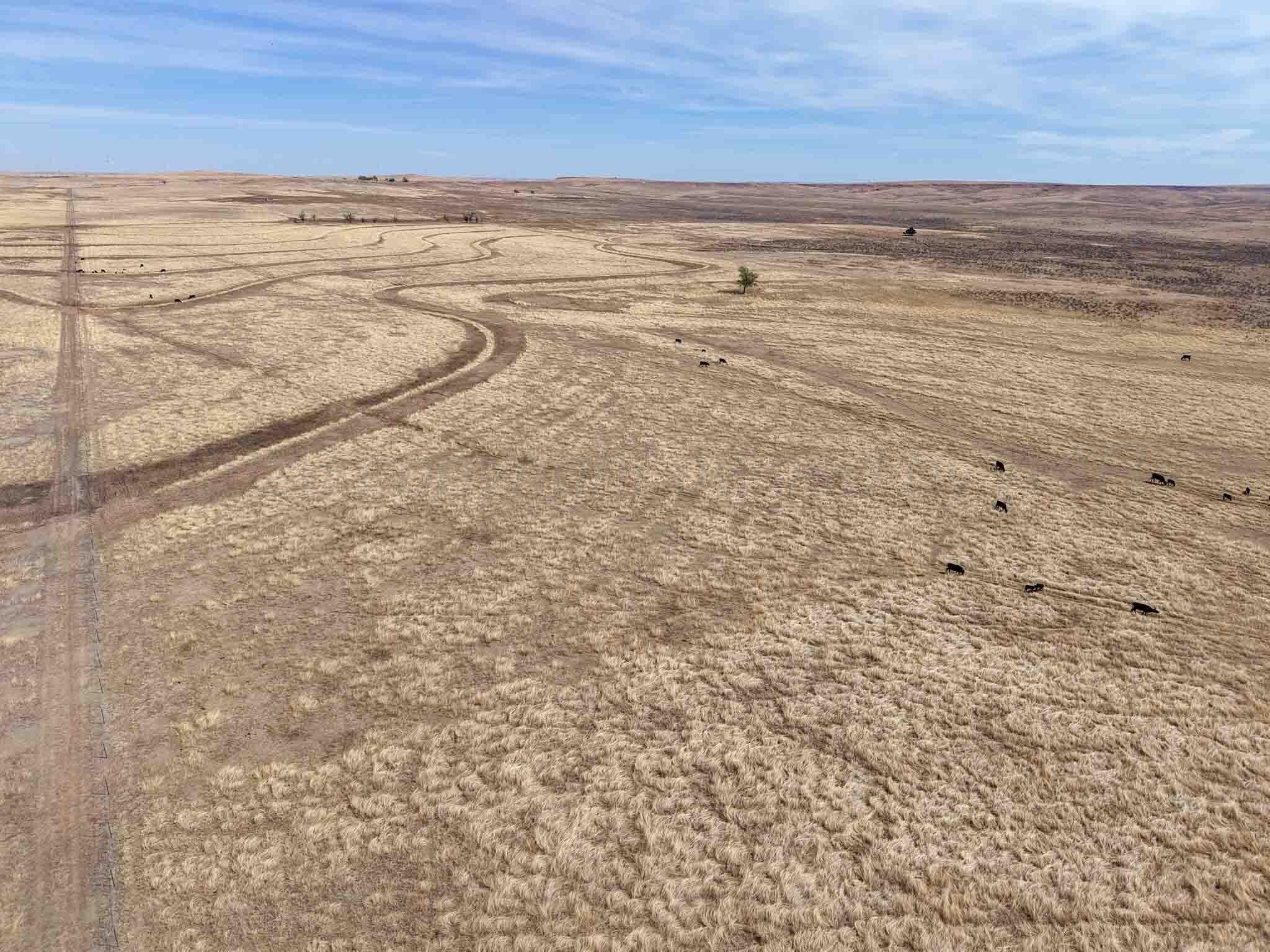 848.8 acres in Wheeler County - photo 26