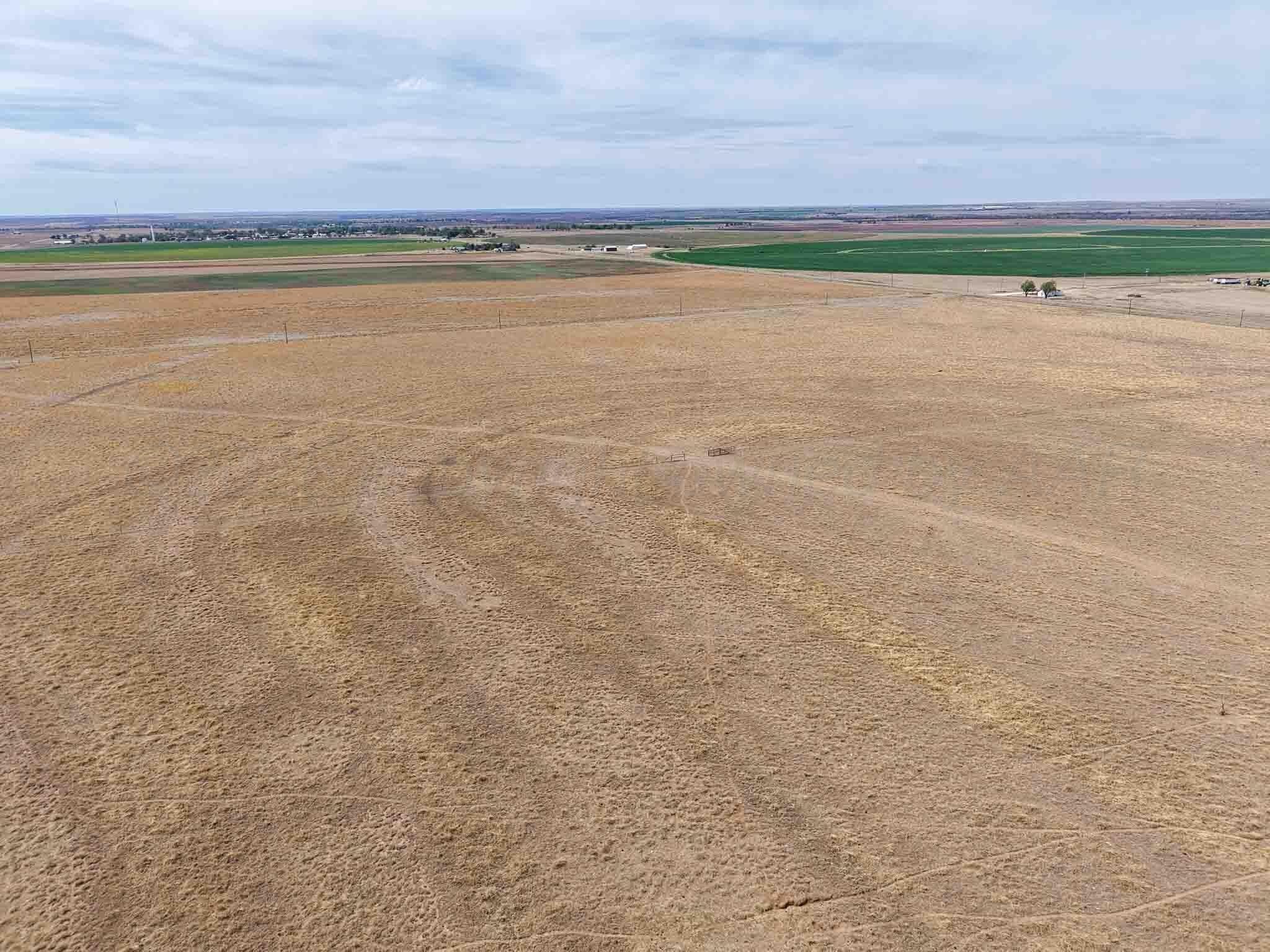 848.8 acres in Wheeler County - photo 6