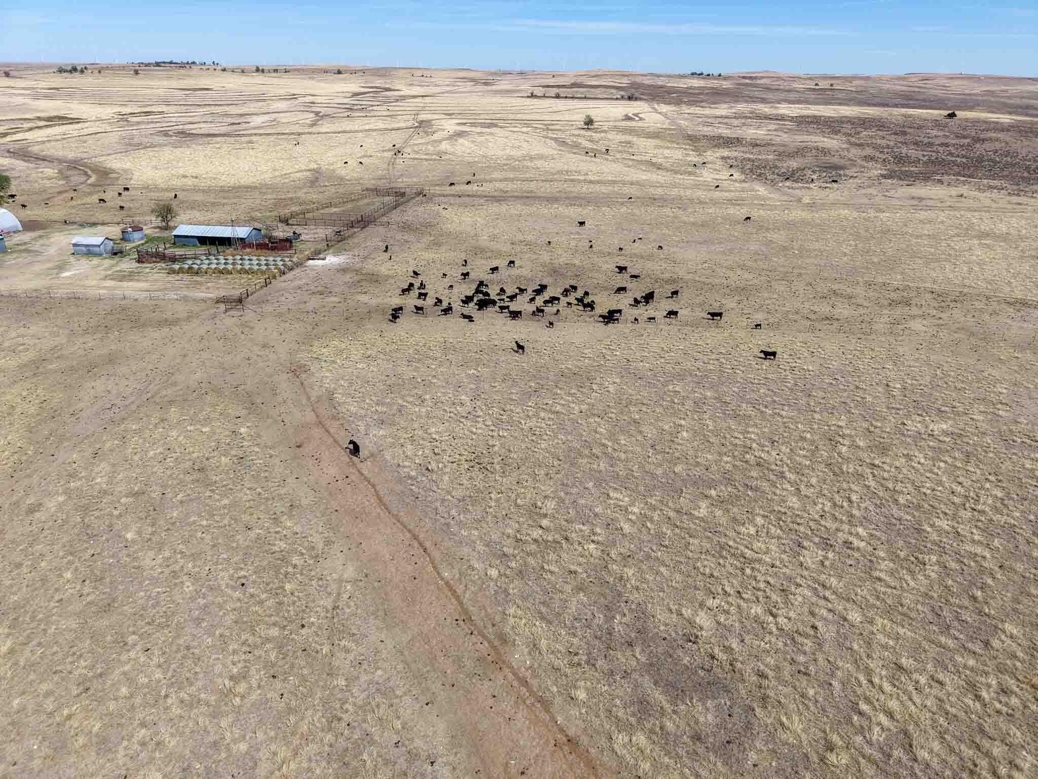 848.8 acres in Wheeler County - photo 19