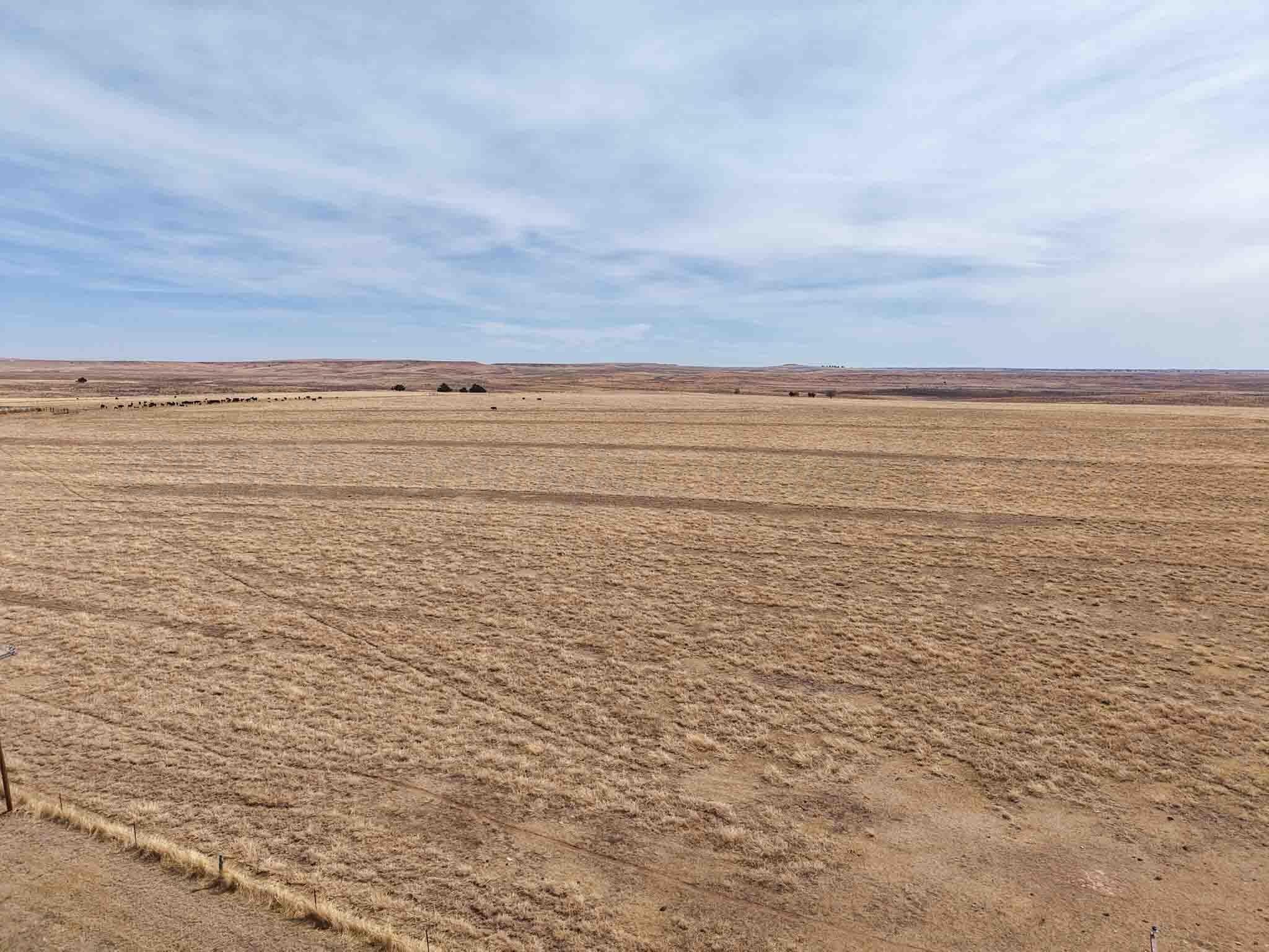 848.8 acres in Wheeler County gallery image 2