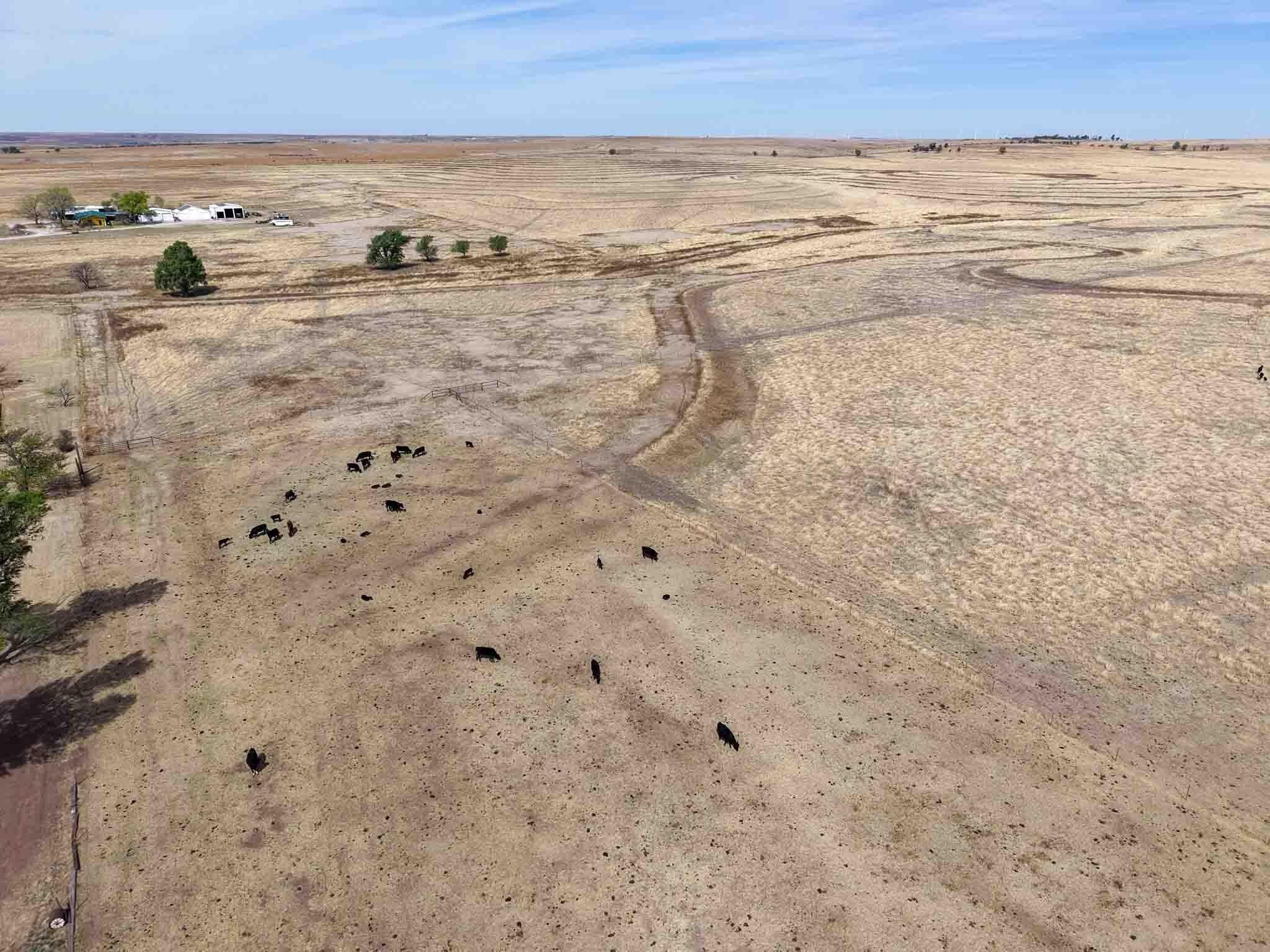 848.8 acres in Wheeler County - photo 23