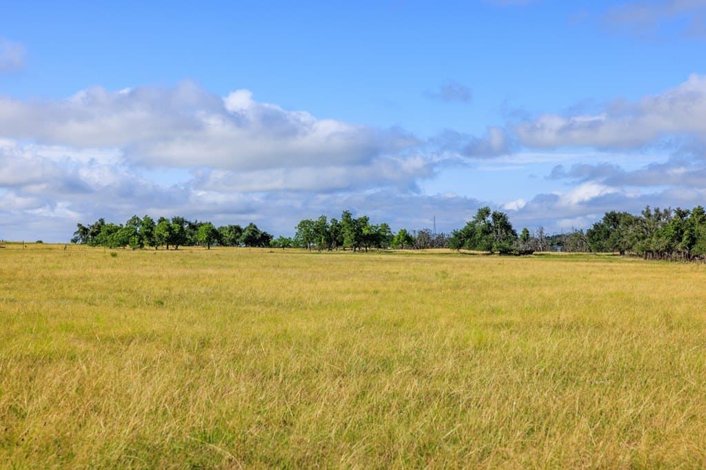 199.82 acres in Gillespie County - photo 26