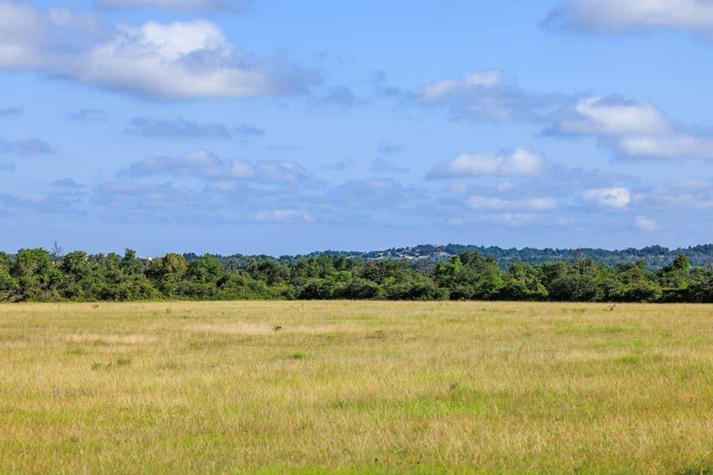 199.82 acres in Gillespie County - photo 19