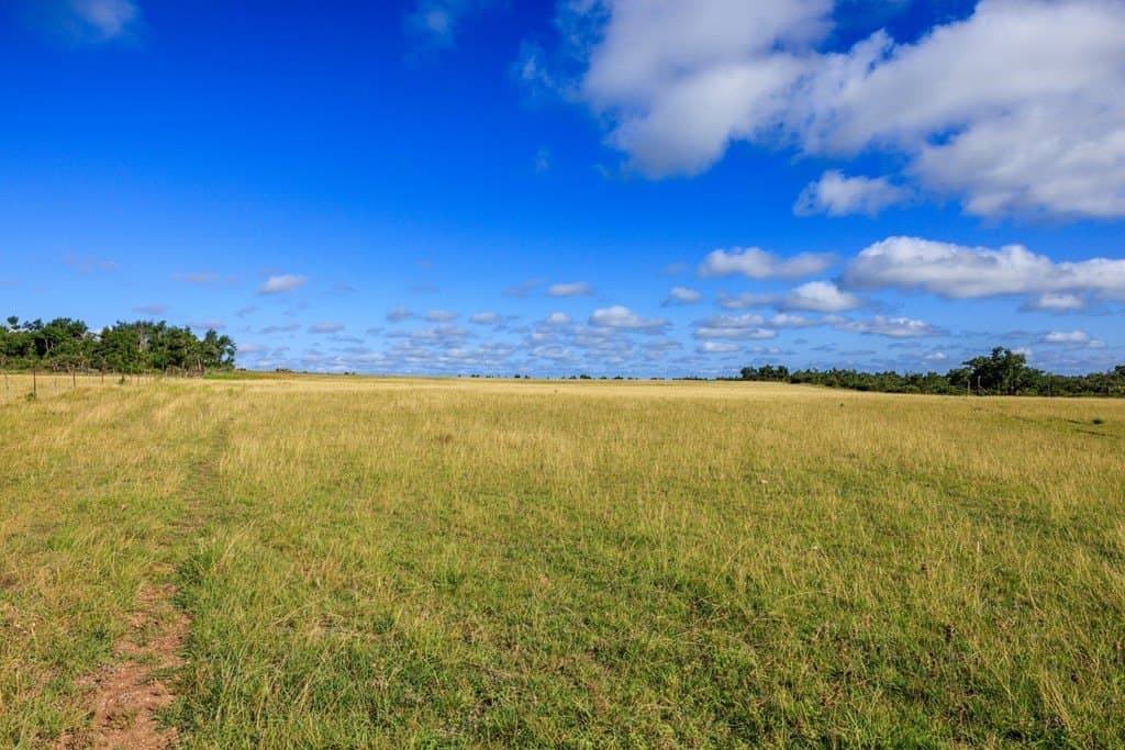 199.82 acres in Gillespie County - photo 13