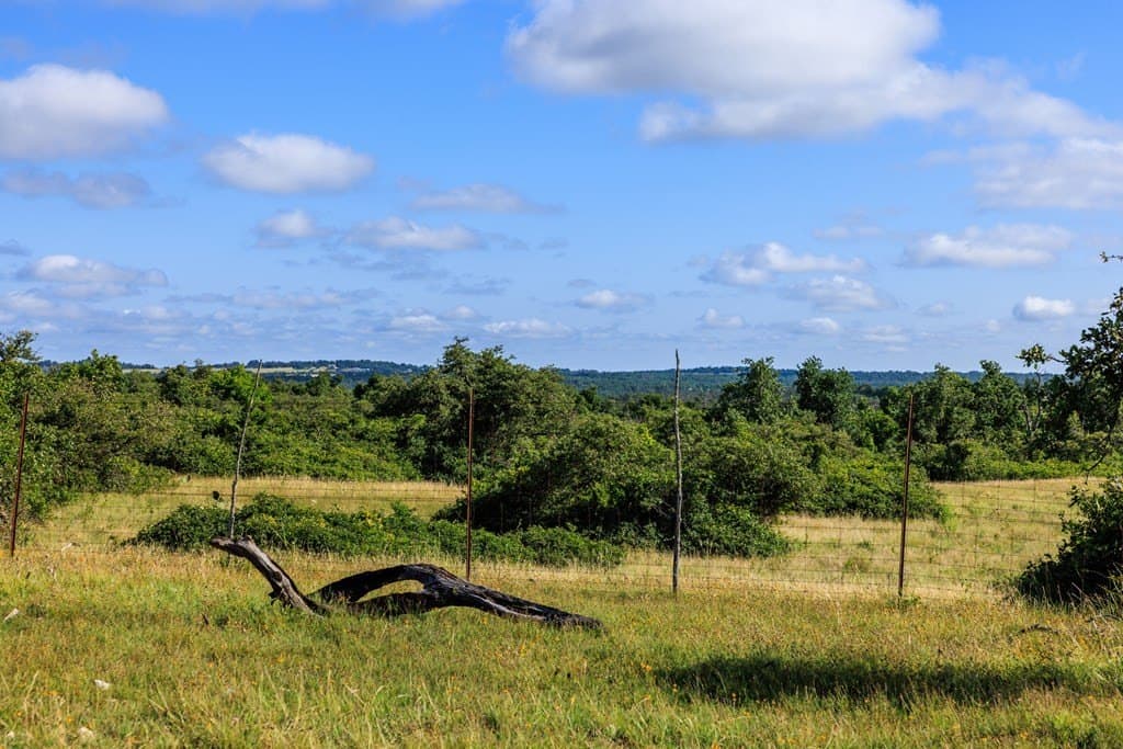 199.82 acres in Gillespie County - photo 27