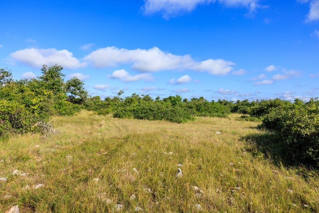 199.82 acres in Gillespie County - photo 14