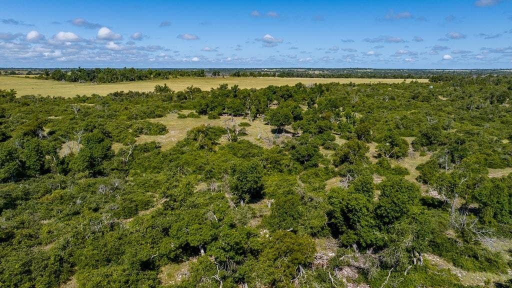 199.82 acres in Gillespie County