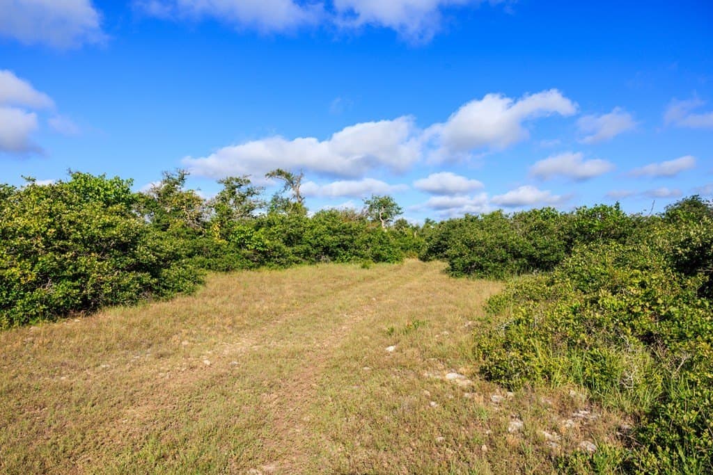 199.82 acres in Gillespie County - photo 23