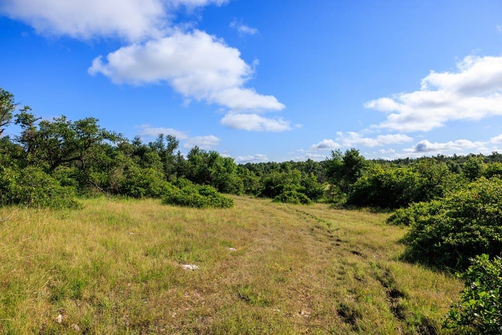 199.82 acres in Gillespie County gallery image 2