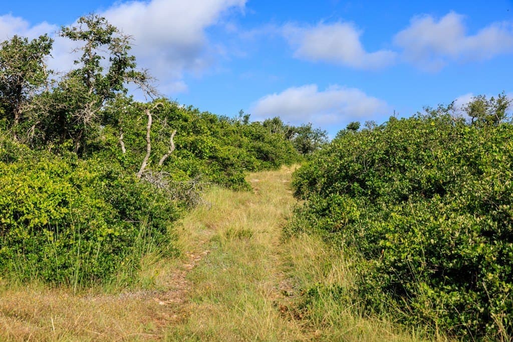 199.82 acres in Gillespie County - photo 11