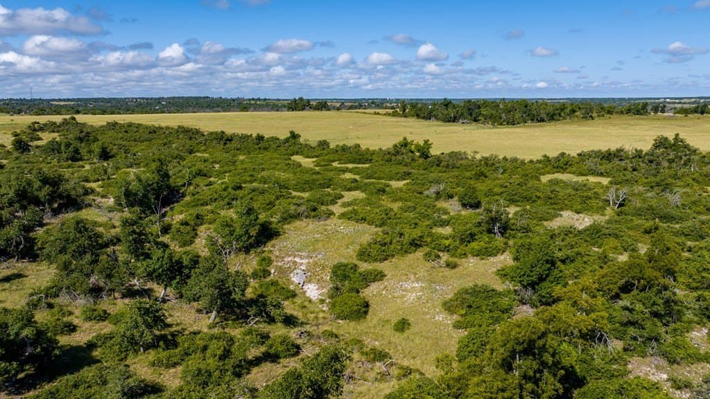 199.82 acres in Gillespie County - photo 25