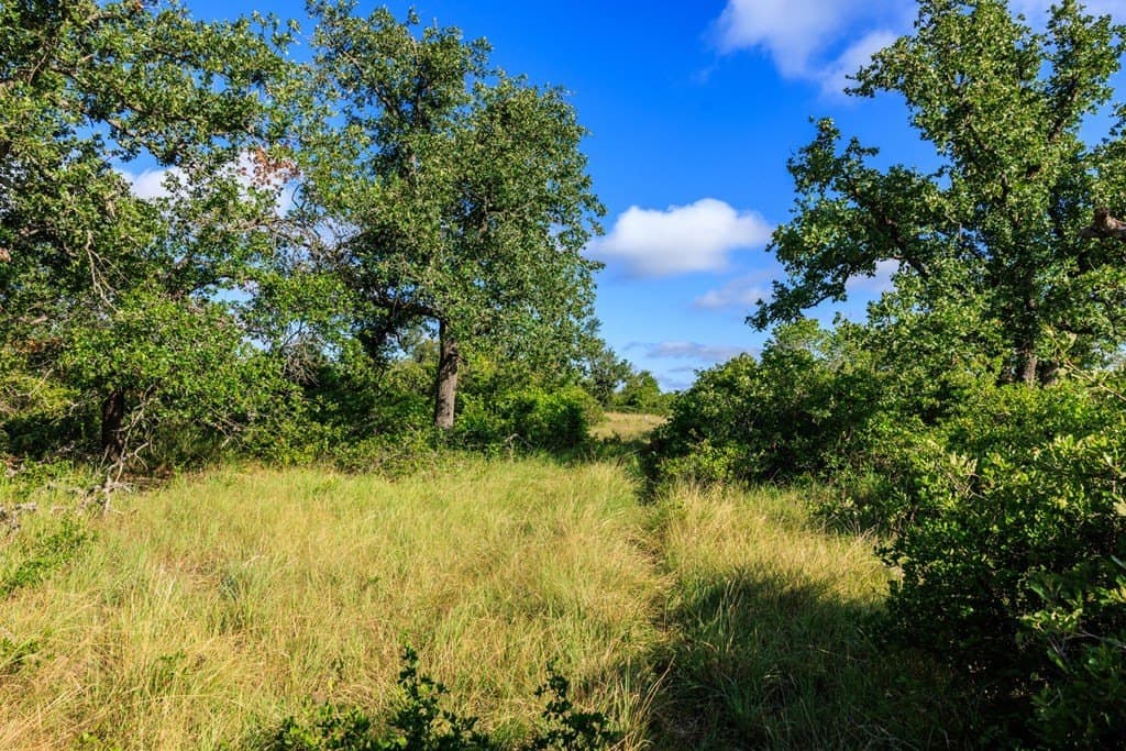 199.82 acres in Gillespie County gallery image 3
