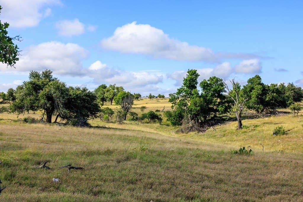 199.82 acres in Gillespie County - photo 8