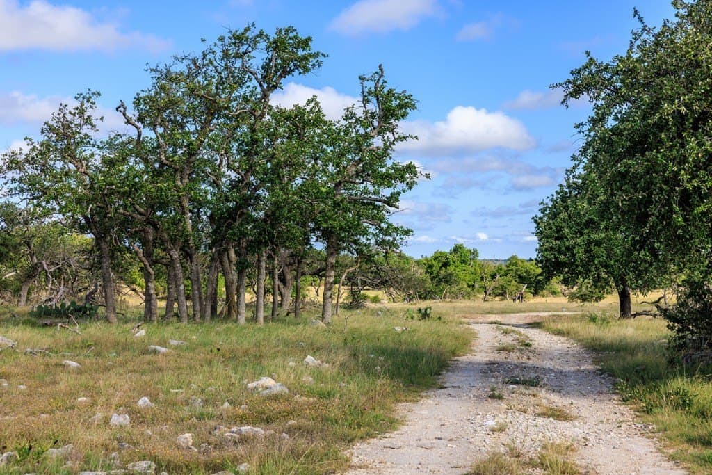 199.82 acres in Gillespie County - photo 22