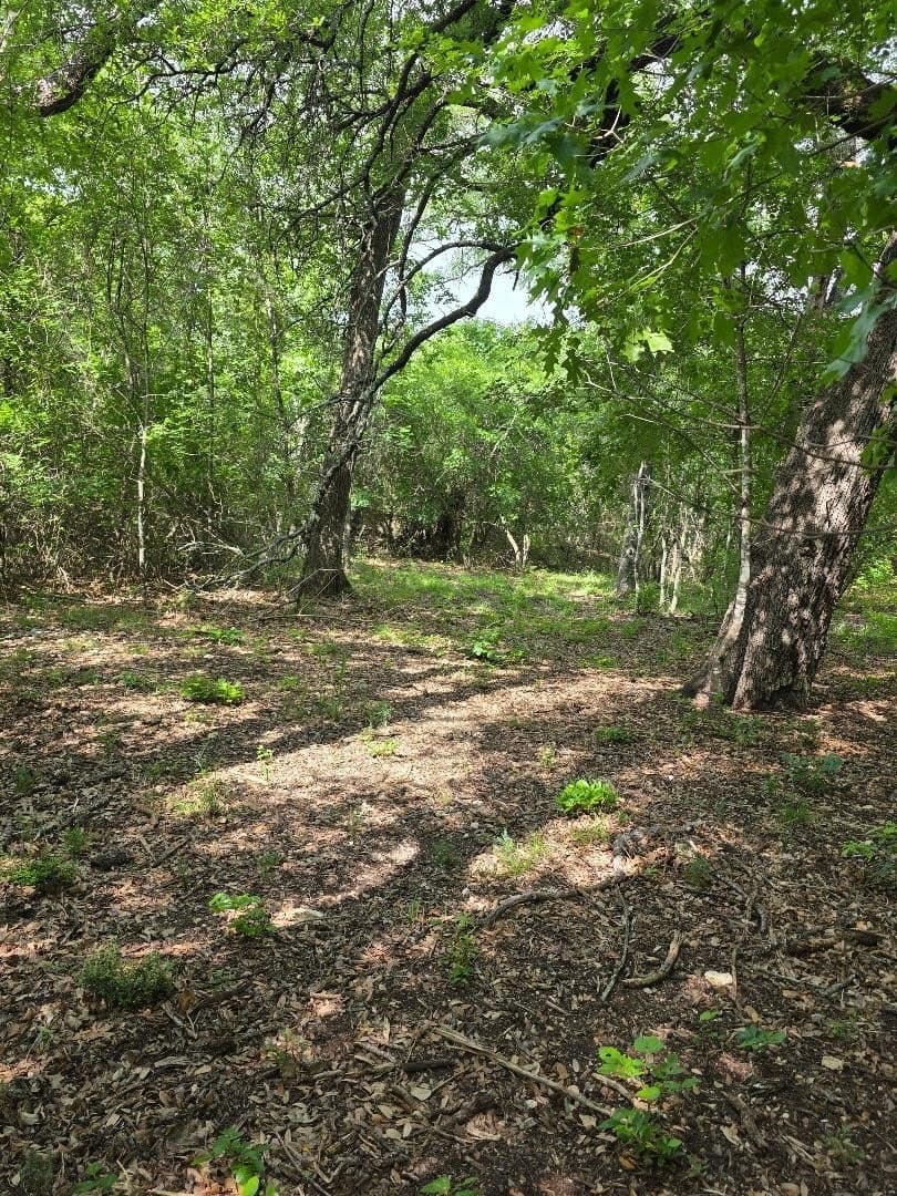 0.38 acres in Johnson County - photo 2