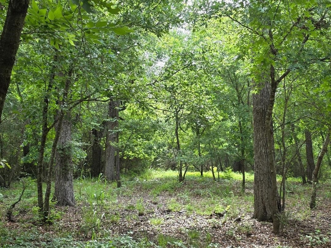 0.38 acres in Johnson County - photo 3
