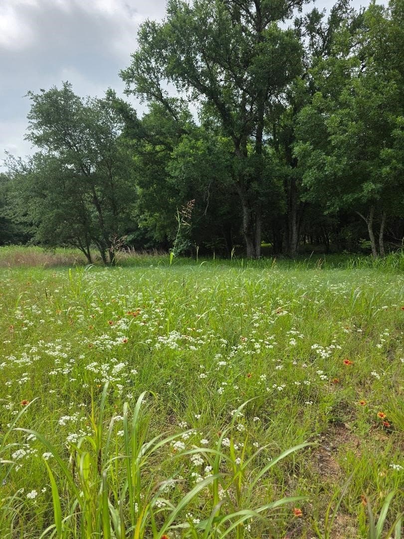 0.38 acres in Johnson County