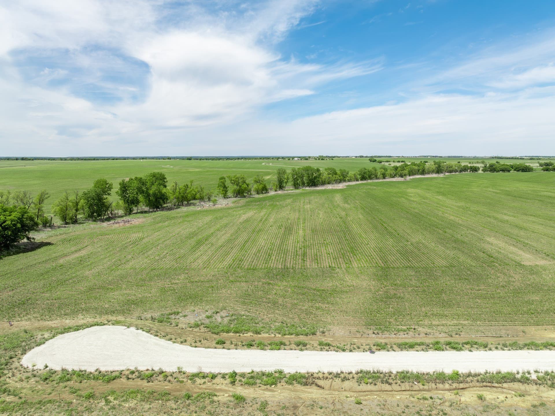 10.01 acres in Hill County - photo 4