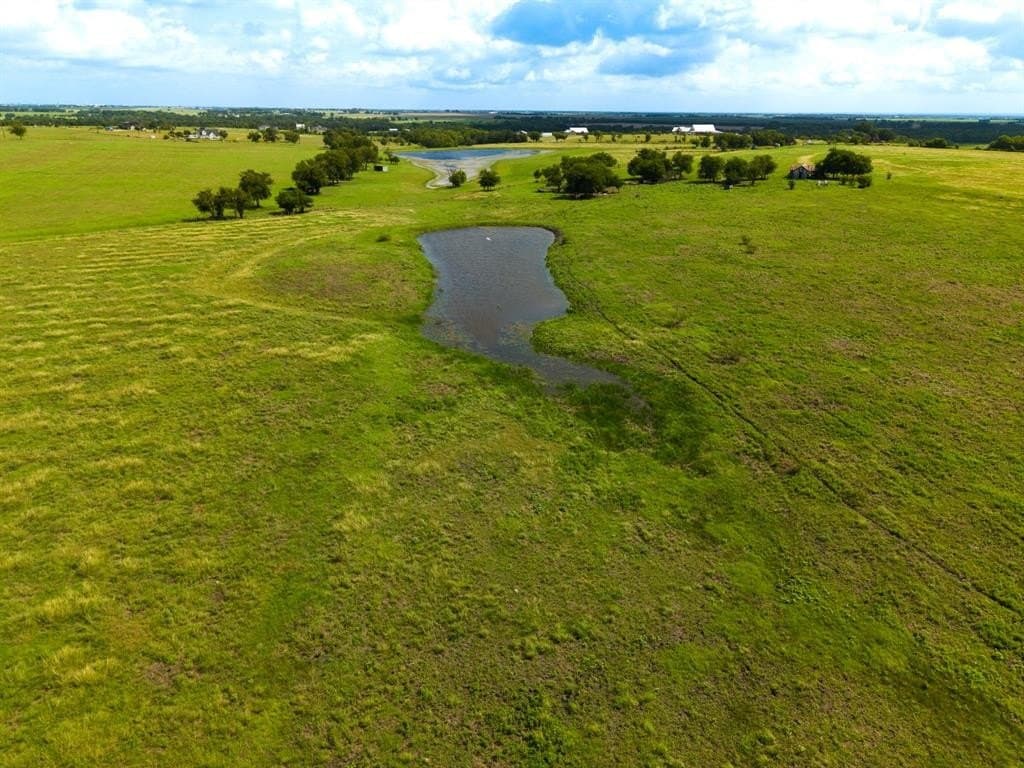 129.25 acres in McLennan County gallery image 3