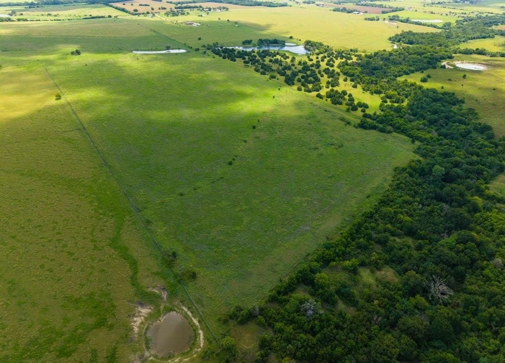 129.25 acres in McLennan County gallery image 4