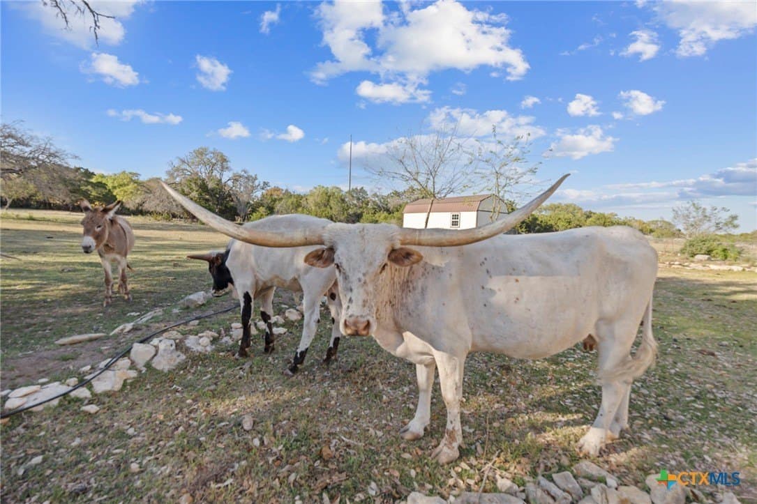 16.9 acres in Williamson County - photo 37