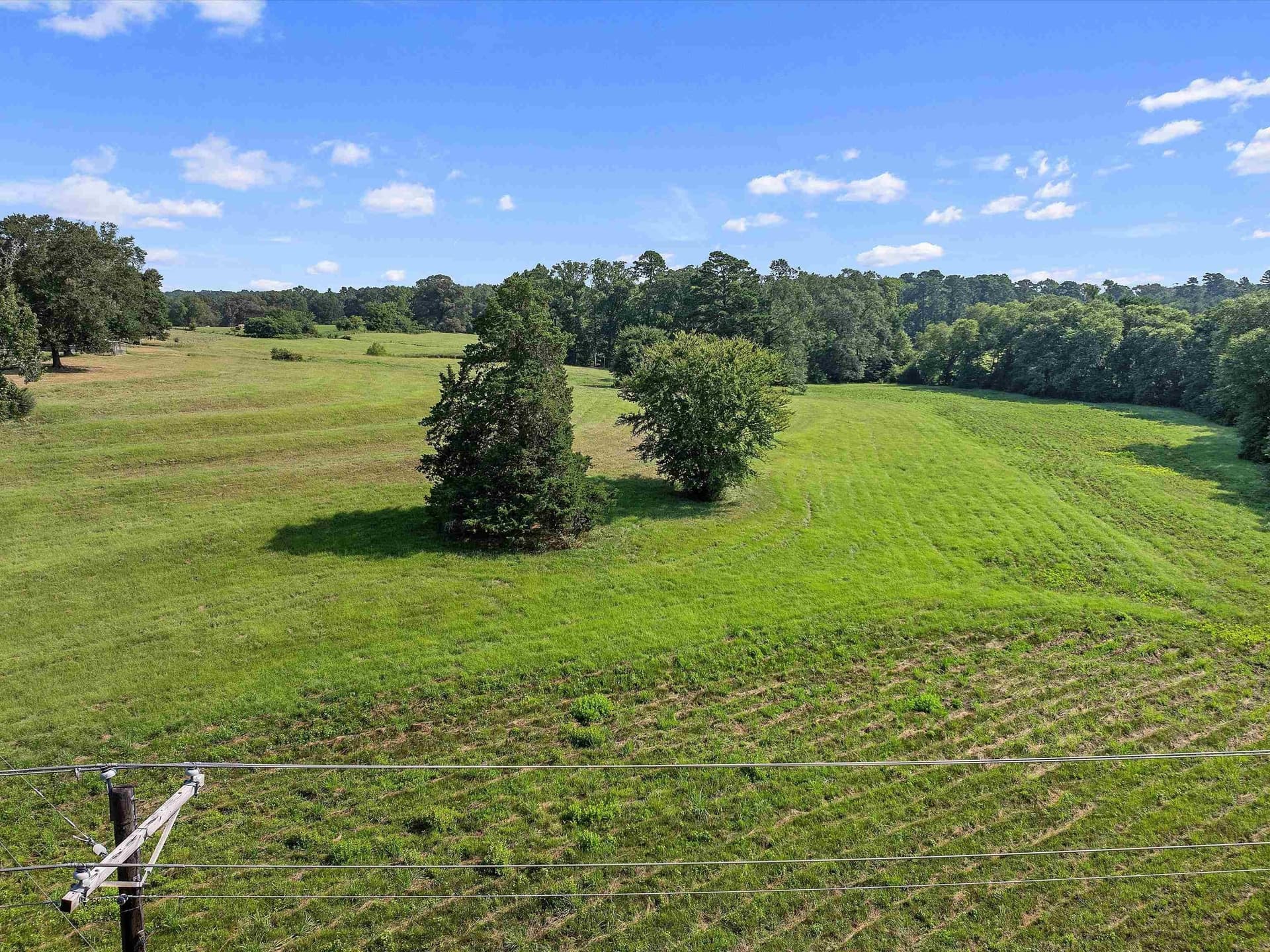 2 acres in Upshur County gallery image 2