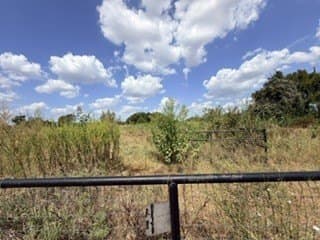 5 acres in Grayson County - photo 22