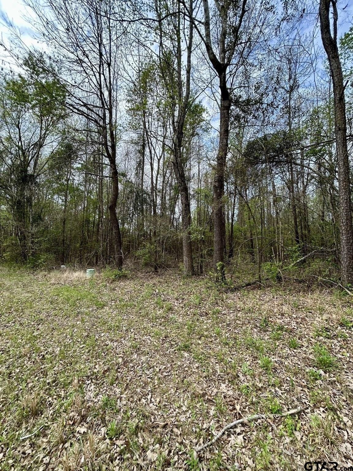 4.93 acres in Camp County gallery image 2