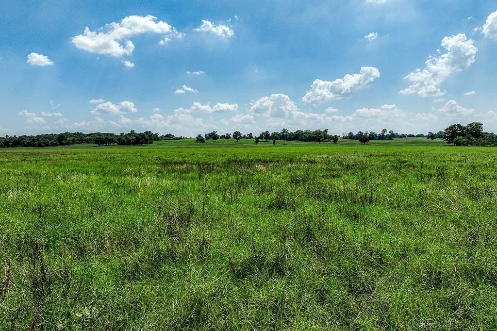 69.51 acres in Washington County - photo 18