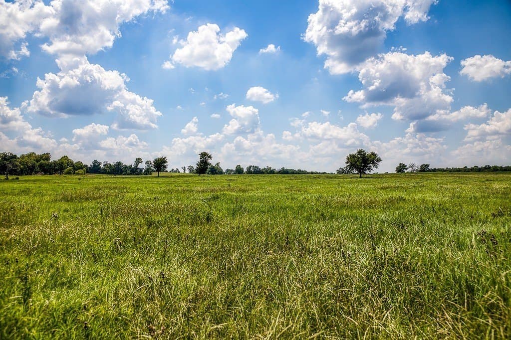 69.51 acres in Washington County - photo 11