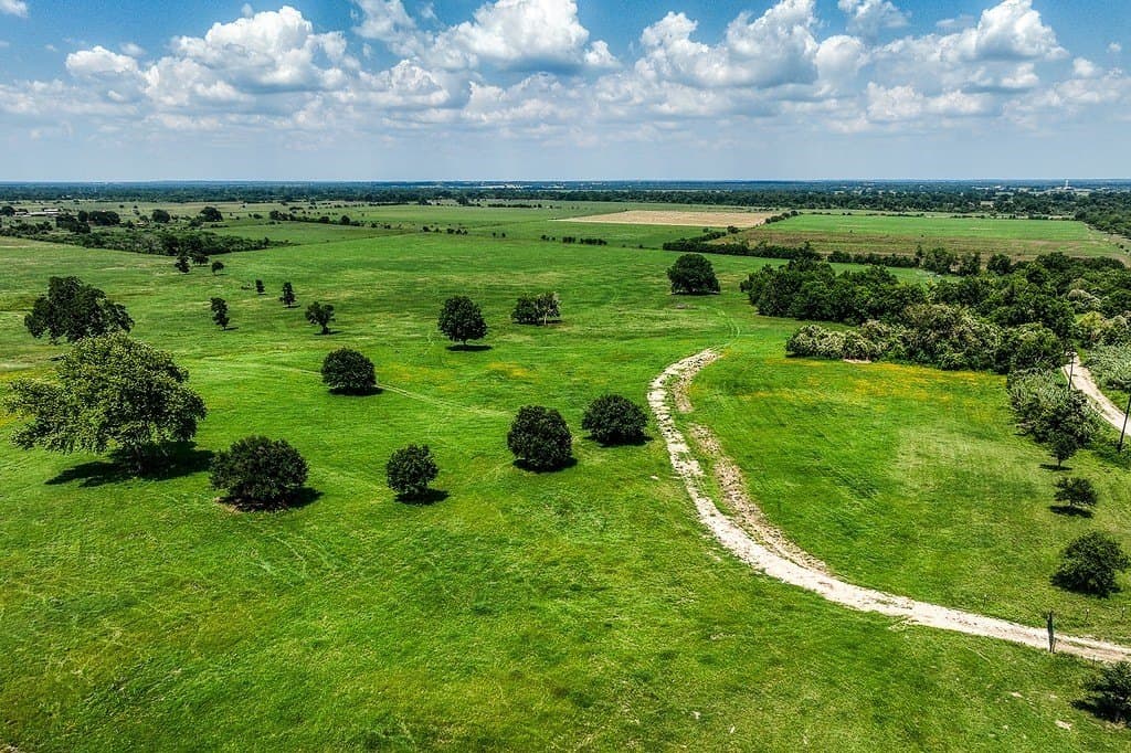 69.51 acres in Washington County - photo 13