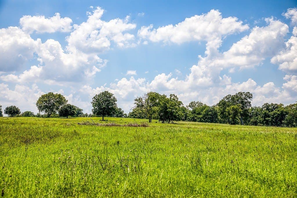 69.51 acres in Washington County gallery image 3