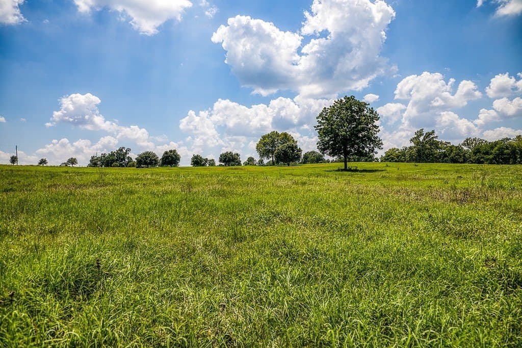 69.51 acres in Washington County - photo 8
