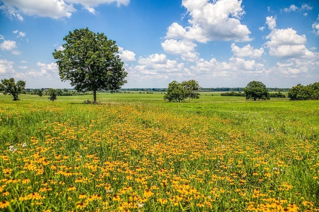 69.51 acres in Washington County - photo 20