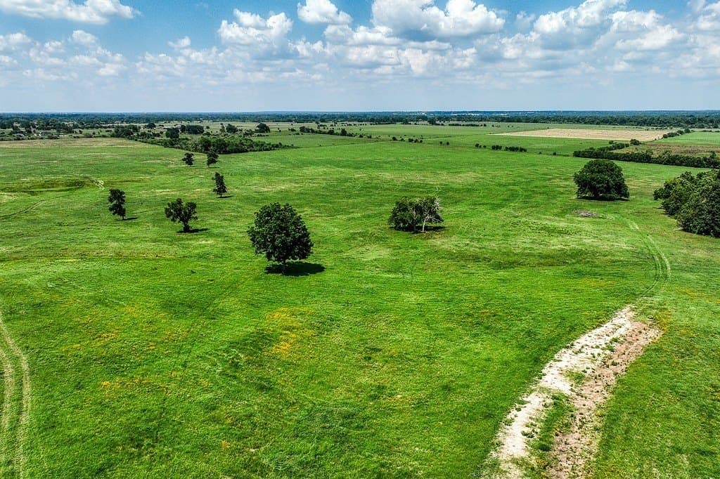 69.51 acres in Washington County - photo 19