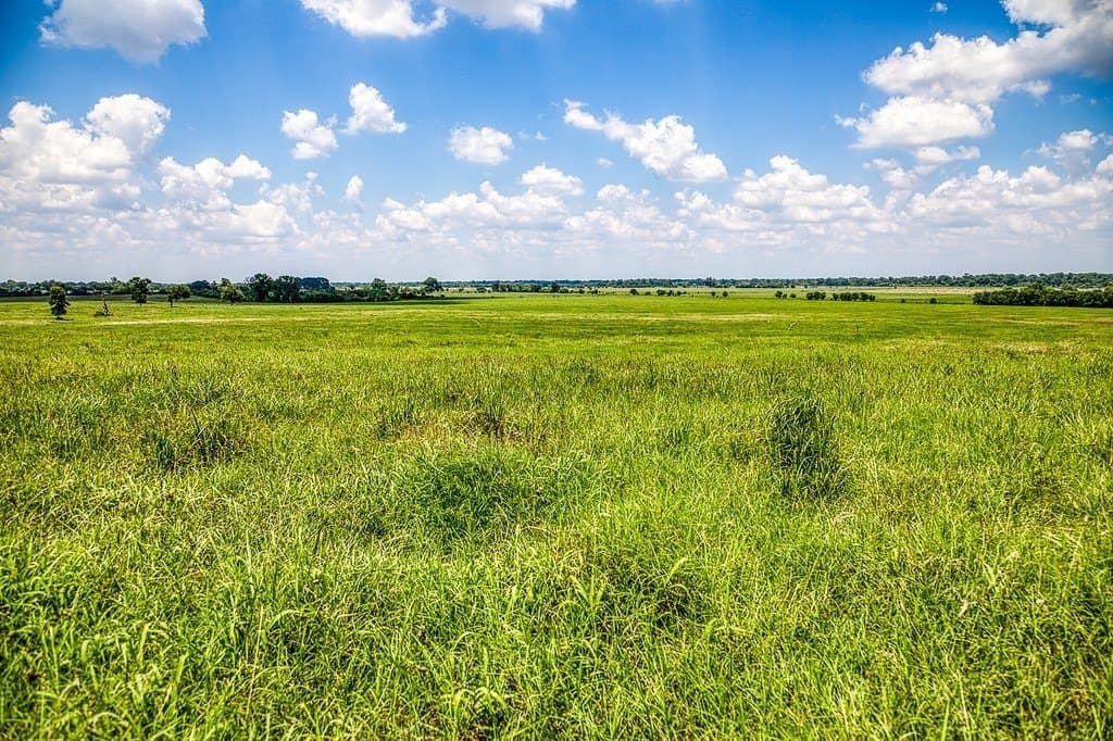 69.51 acres in Washington County - photo 6