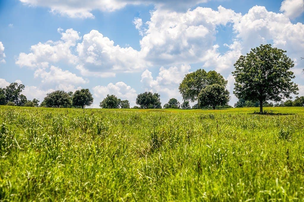 69.51 acres in Washington County featured view
