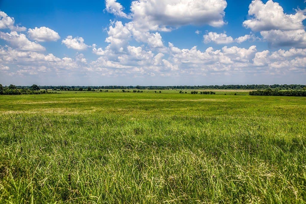69.51 acres in Washington County - photo 10