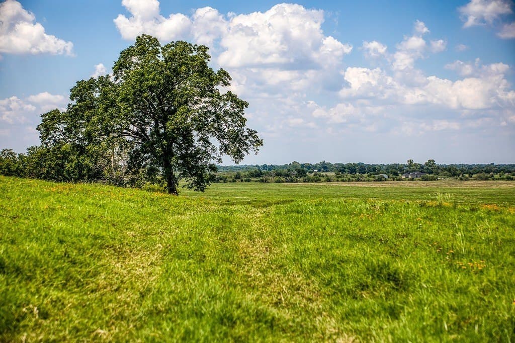 69.51 acres in Washington County - photo 9