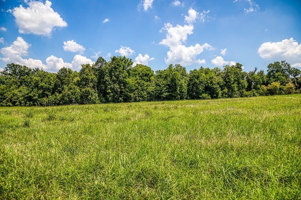 69.51 acres in Washington County - photo 7