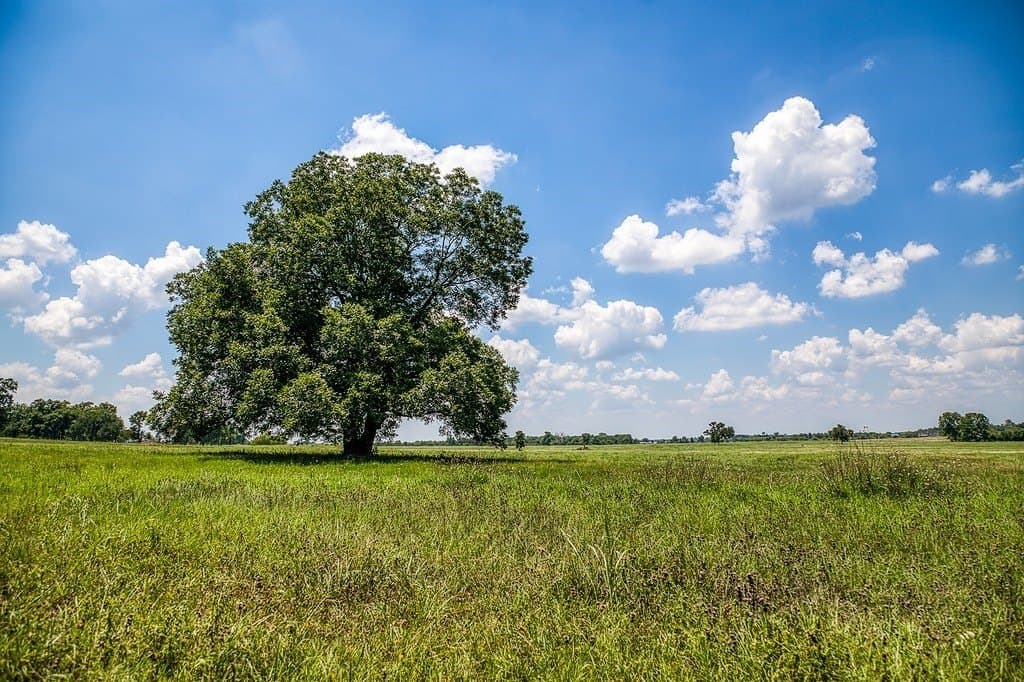 69.51 acres in Washington County gallery image 2