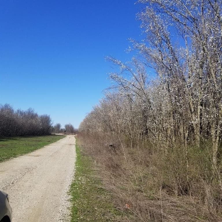 11 acres in Grayson County featured view