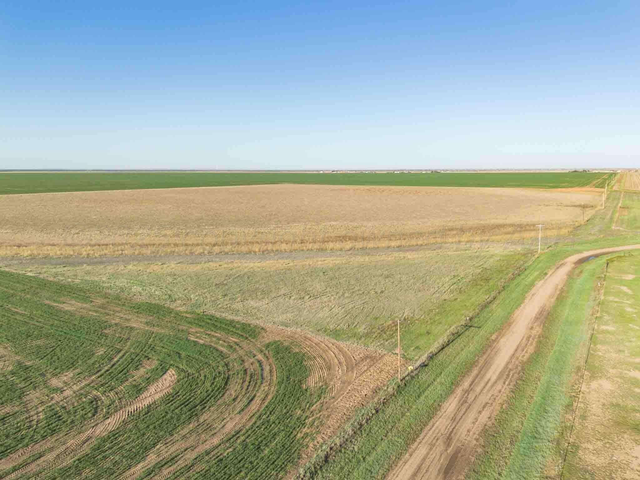 115 acres in Randall County gallery image 2